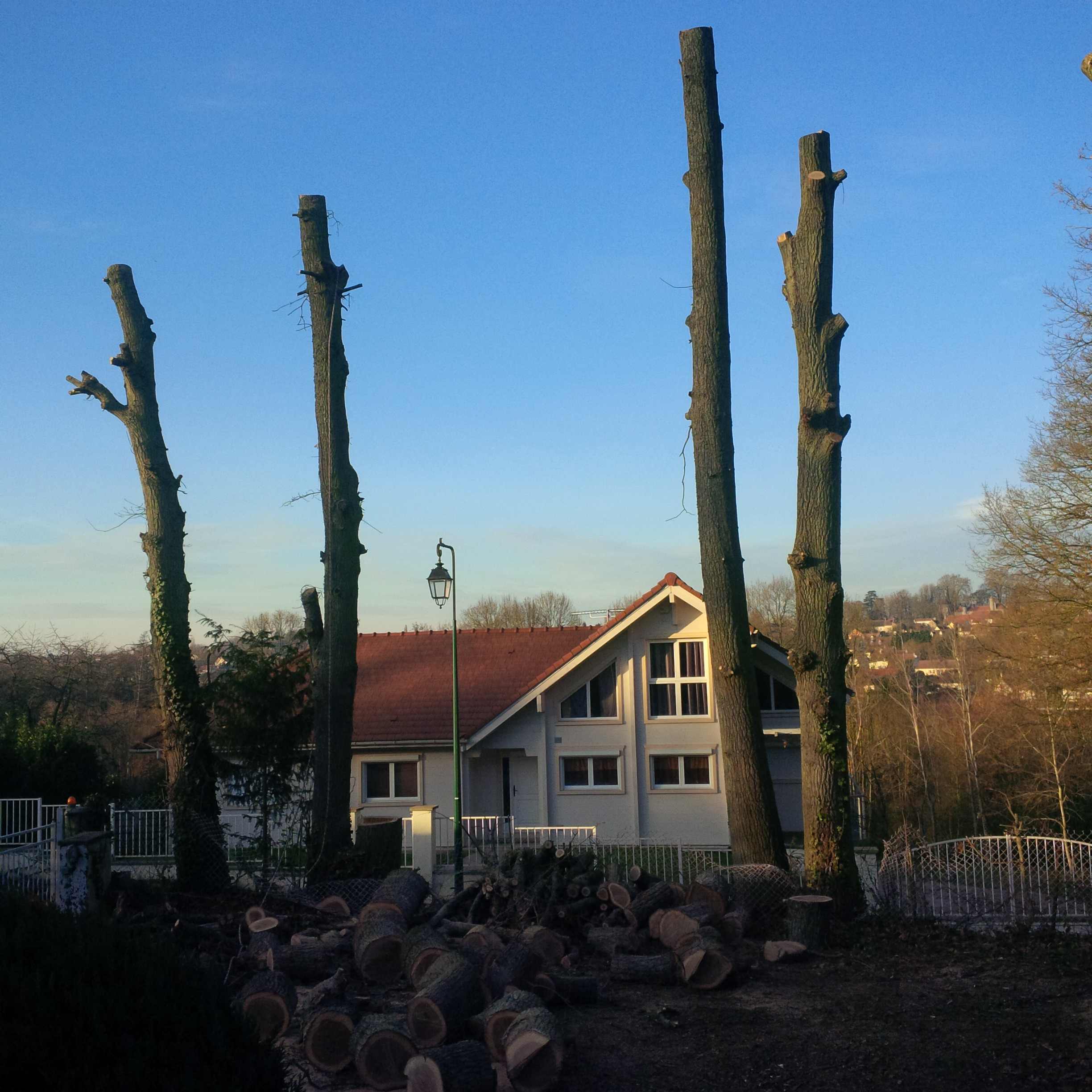 elagage abattage Boissy le Châtel 77169